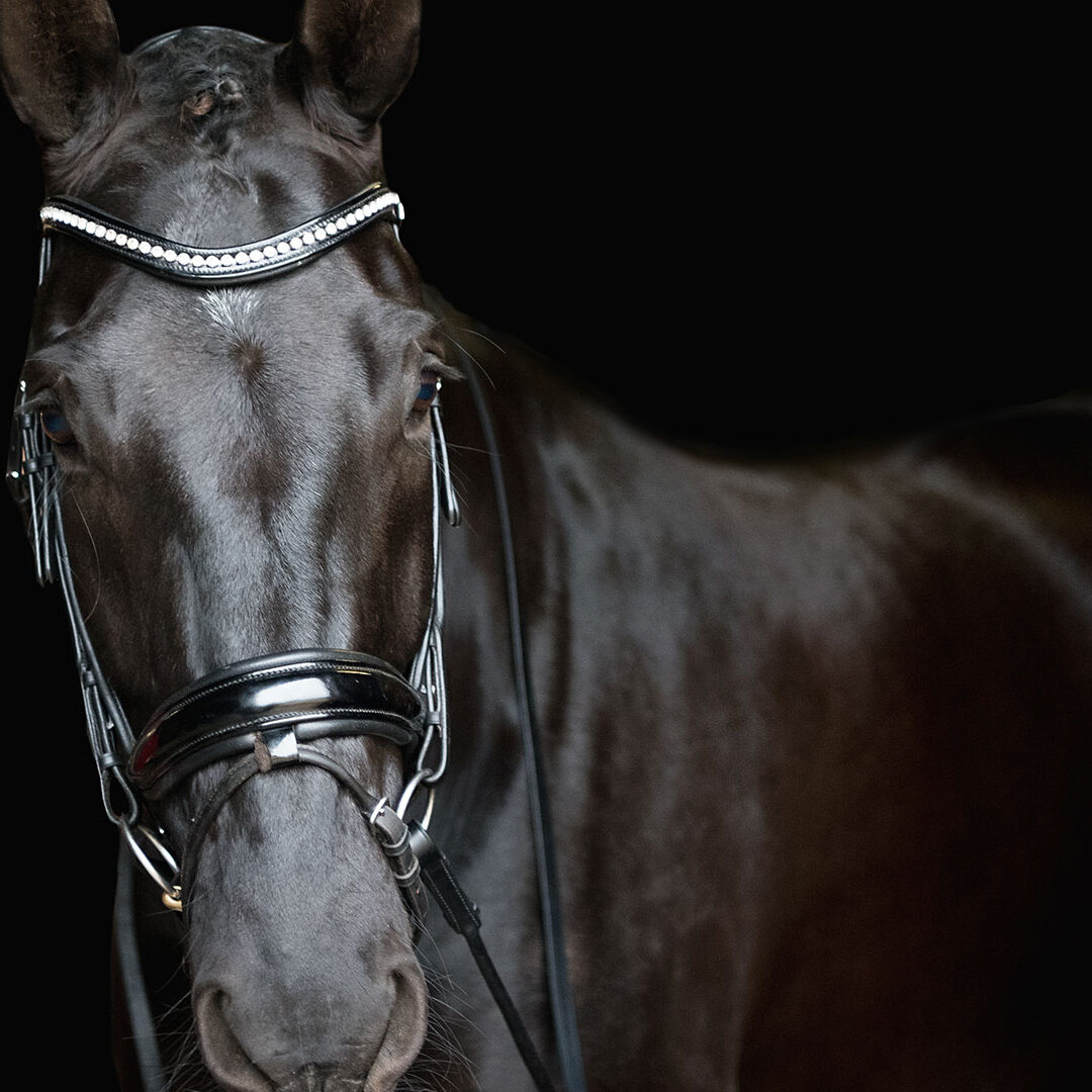 2019 PACIFIC LEAGUE WORLD CUP FINAL CDI-W